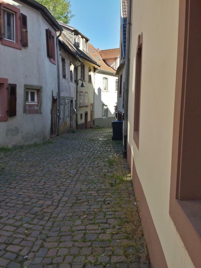Moderne Wohnung In Barockem Altstadthaus Nahe Altstadt Und Radweg Блікастель Екстер'єр фото